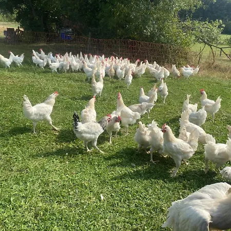 Отель Lindengut Bio & Bio *