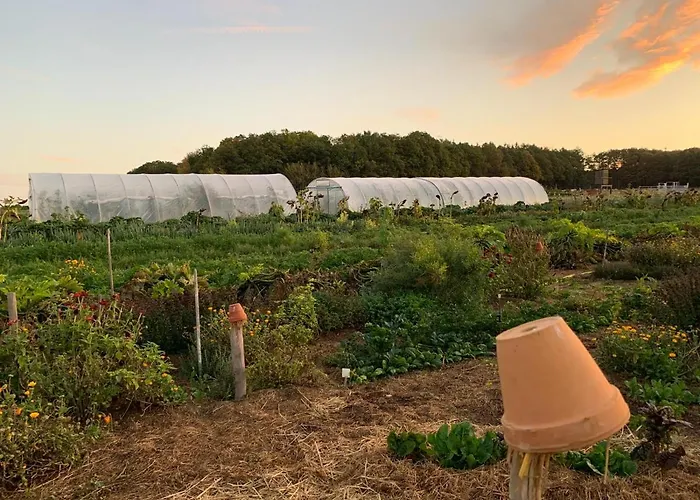 Lindengut Biohotel Hotel *