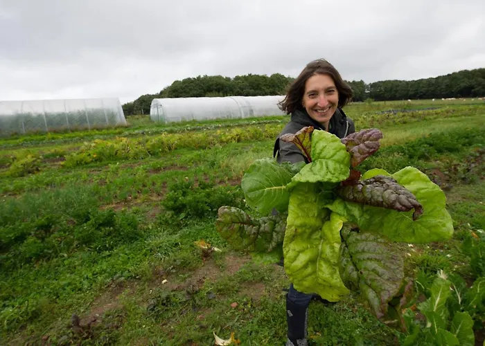 Lindengut Bio & Bio Szálloda