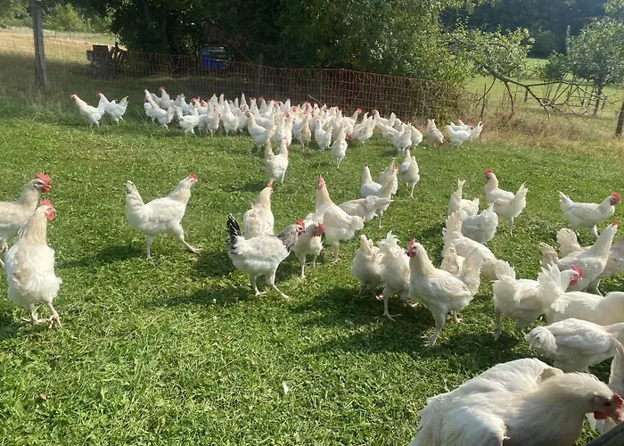 Szálloda Lindengut Bio & Bio *