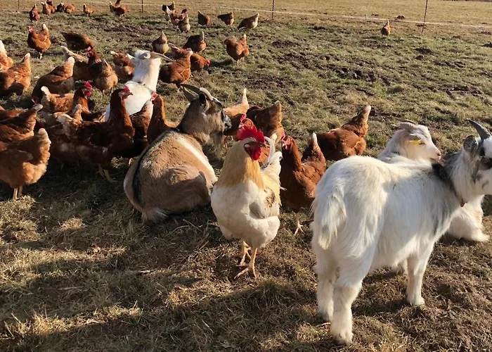 Lindengut Biohotel Hotel