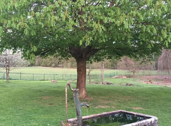 Lindengut Biohotel Hotel