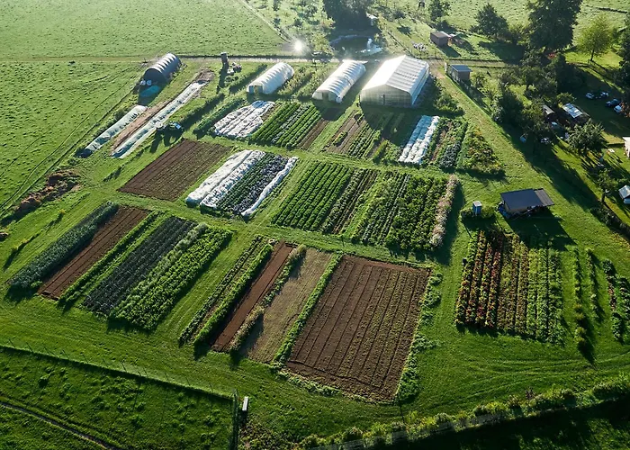 Lindengut Biohotel Hotel *